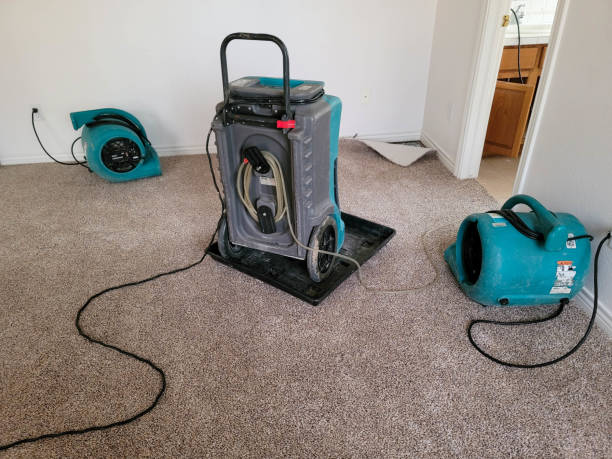 Best Commercial water damage restoration  in Oakland, MO