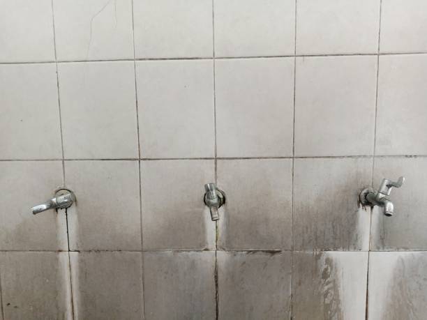Best Sewage cleanup and water damage restoration  in Oakland, MO