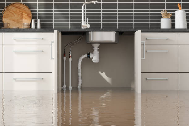 Best Sewage cleanup and water damage restoration  in Oakland, MO